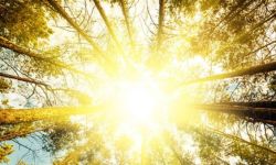 "بيع ضوء الشمس".. نقلة نوعية بمجال الطاقة